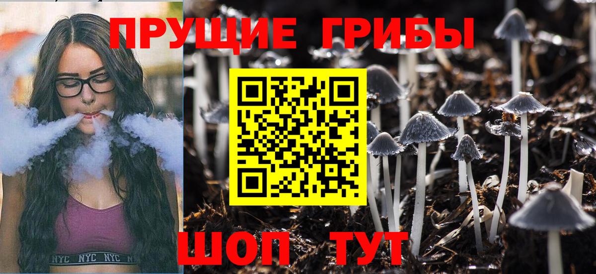 Псилоцибиновые грибы Cubensis Ивантеевка